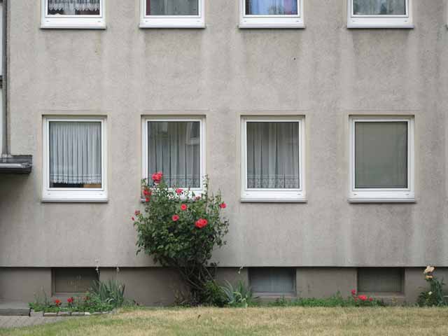 zeitgenoessische photographie