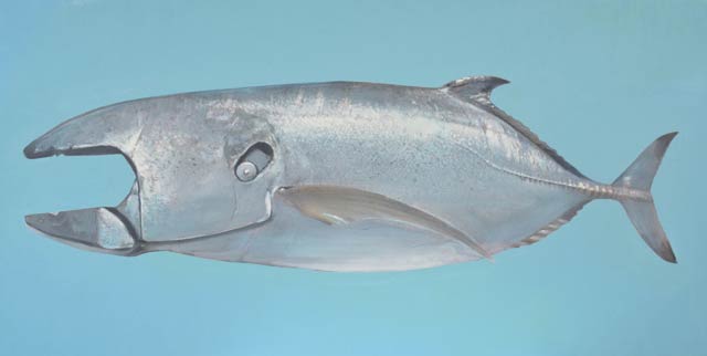 zeitgenoessische Kunst